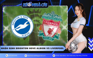 Nhận Định Brighton Hove Albion vs Liverpool