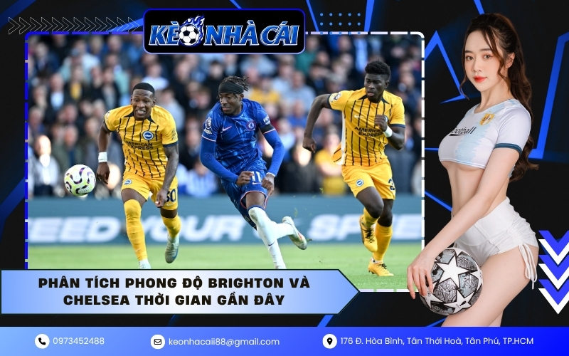 Phân tích phong độ Brighton và Chelsea thời gian gần đây