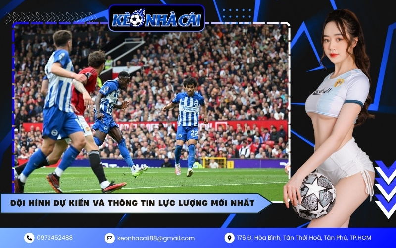 Đội hình dự kiến và thông tin lực lượng mới nhất